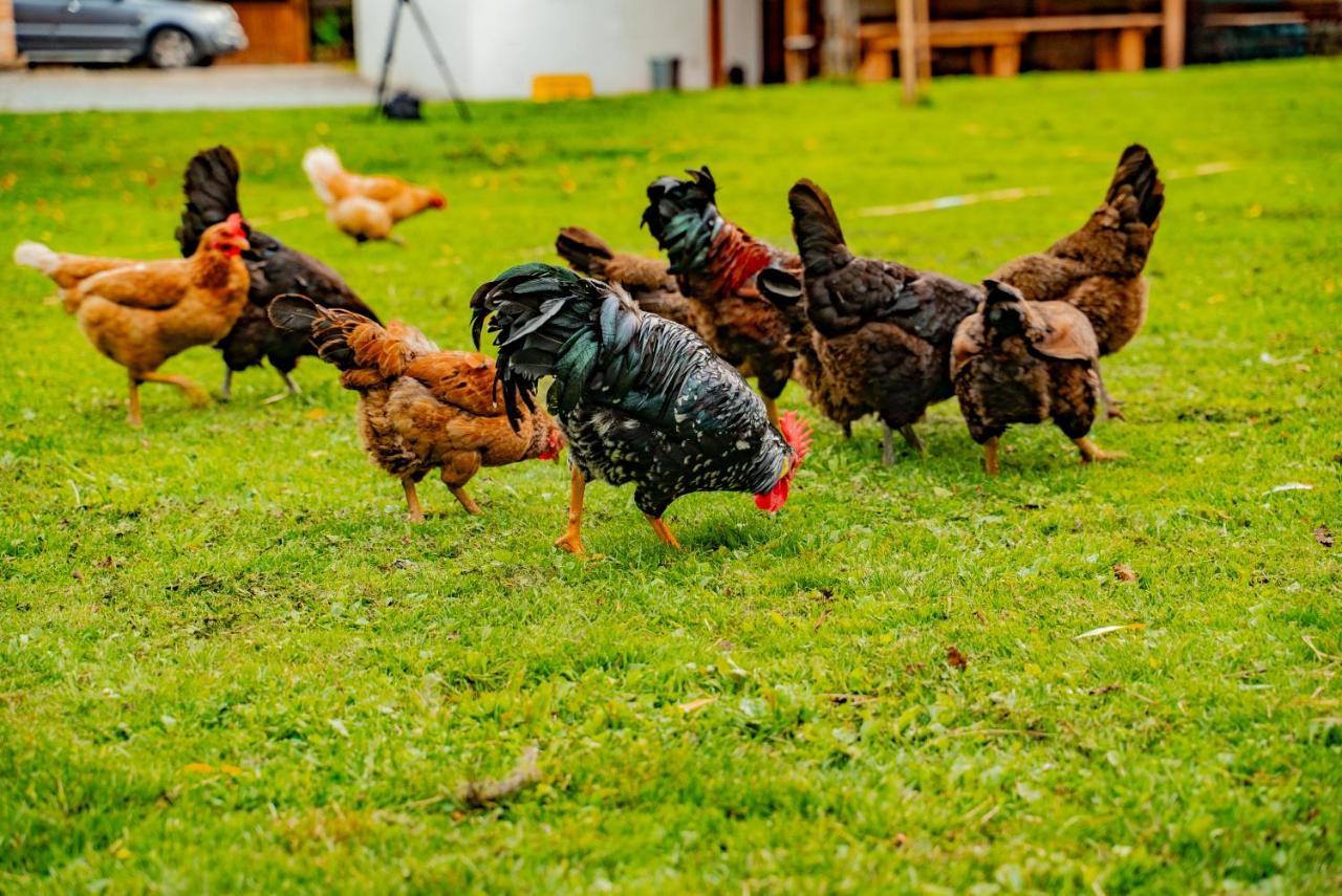 Farma Zelená Ruža Klacno Exterior foto