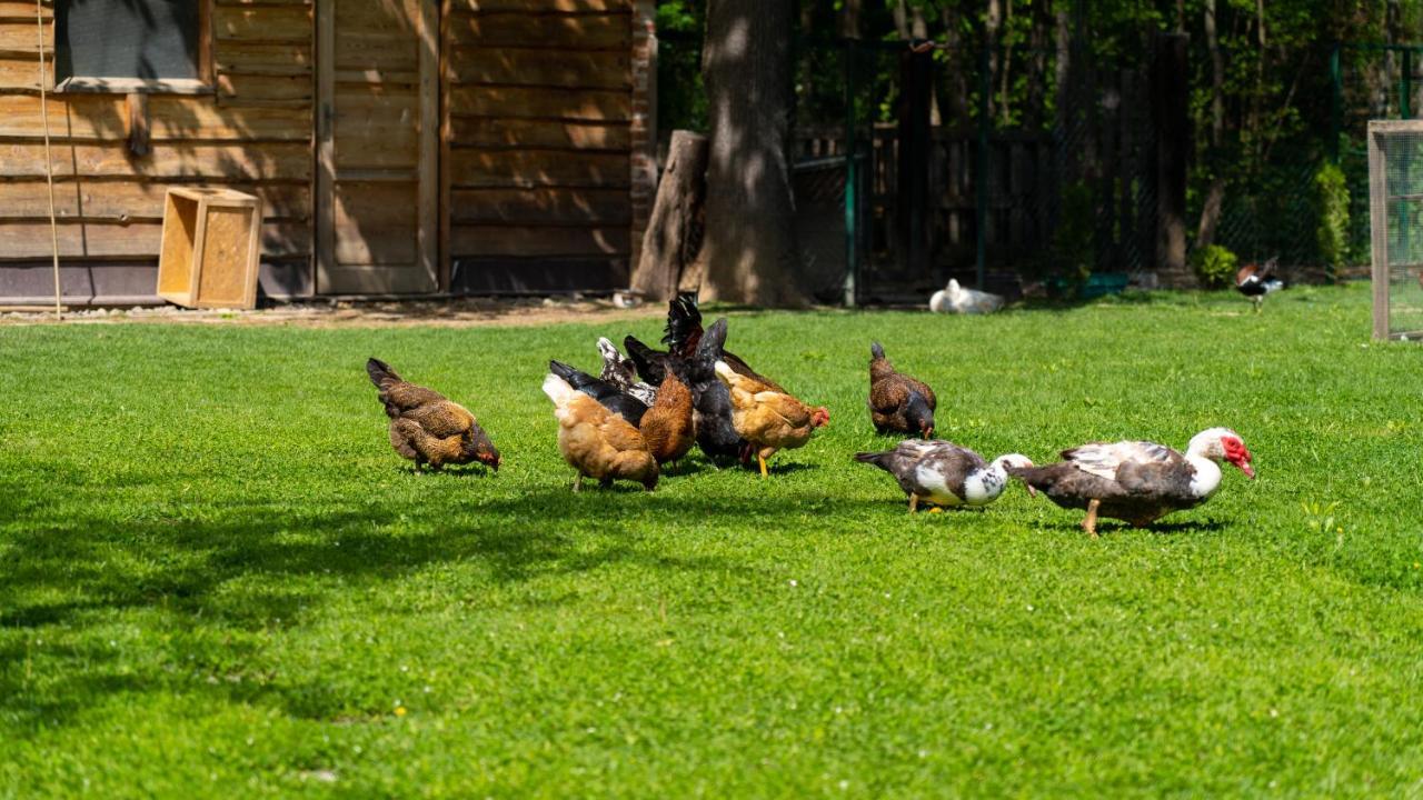 Farma Zelená Ruža Klacno Exterior foto